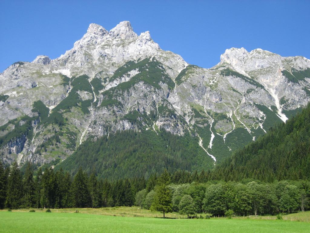 Hotel Bio Bauernhof Vorderoberlehen Werfenweng Esterno foto