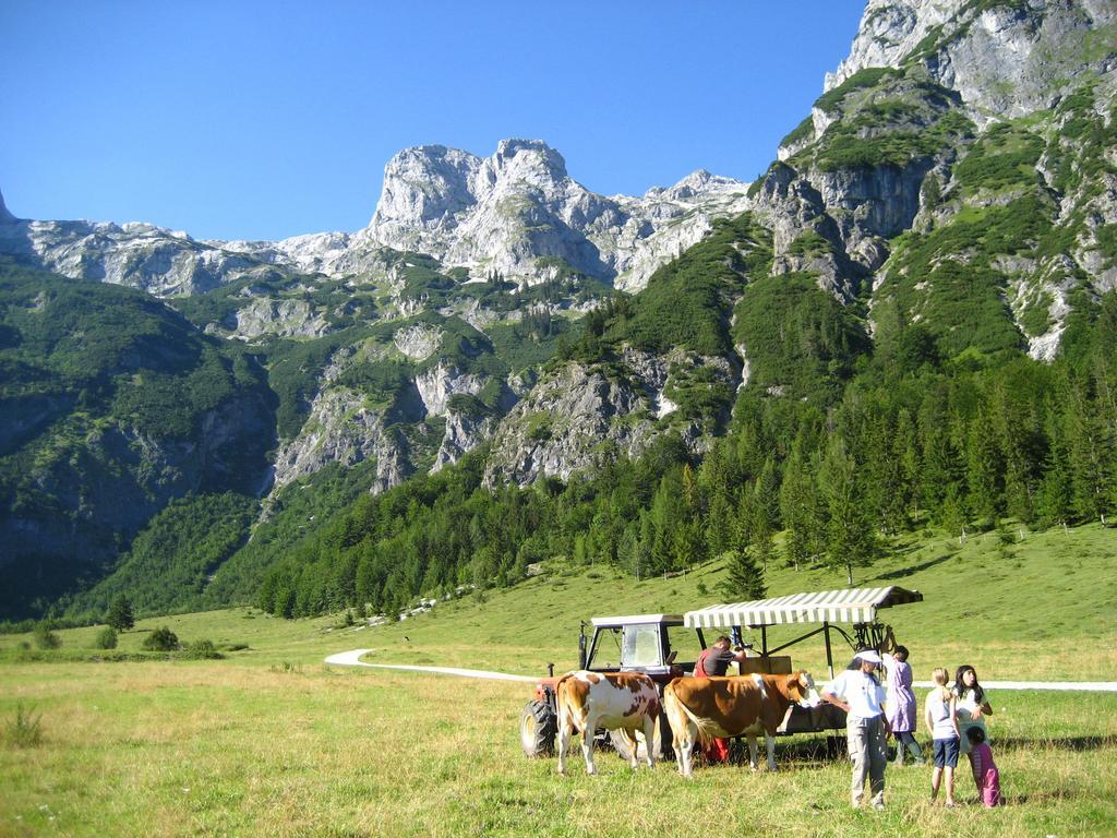 Hotel Bio Bauernhof Vorderoberlehen Werfenweng Esterno foto