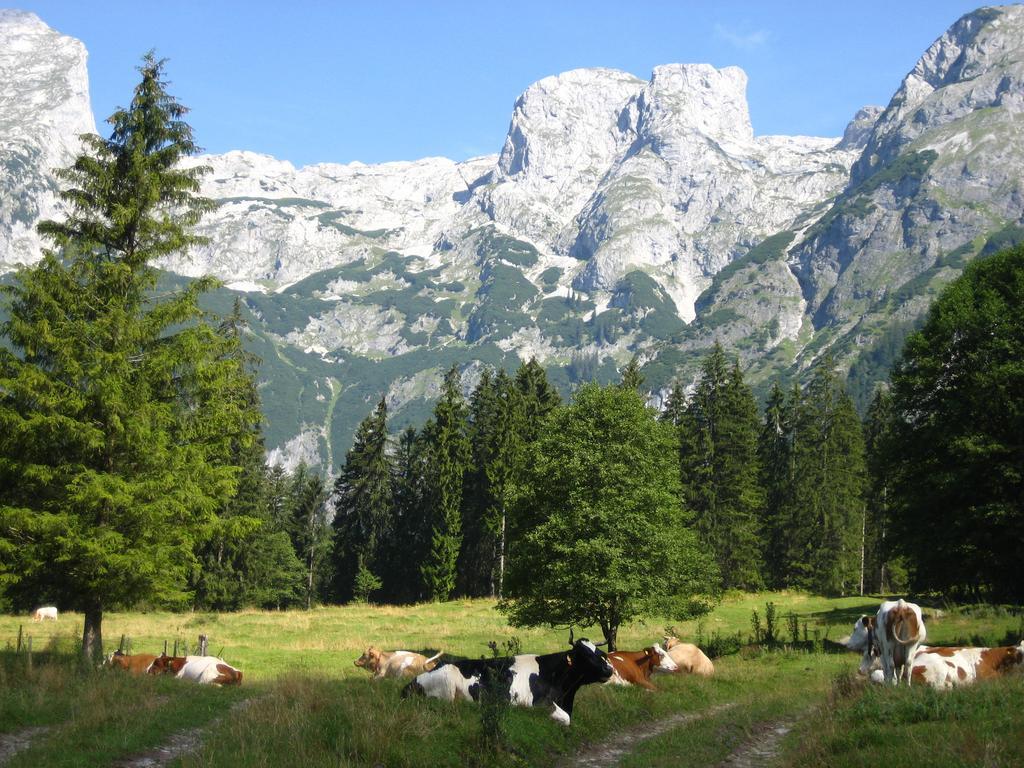 Hotel Bio Bauernhof Vorderoberlehen Werfenweng Esterno foto
