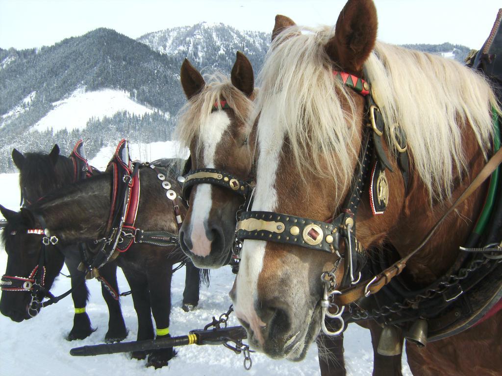Hotel Bio Bauernhof Vorderoberlehen Werfenweng Esterno foto