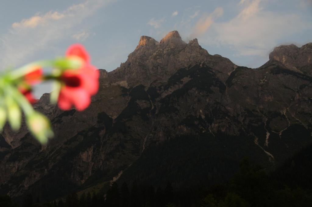 Hotel Bio Bauernhof Vorderoberlehen Werfenweng Esterno foto