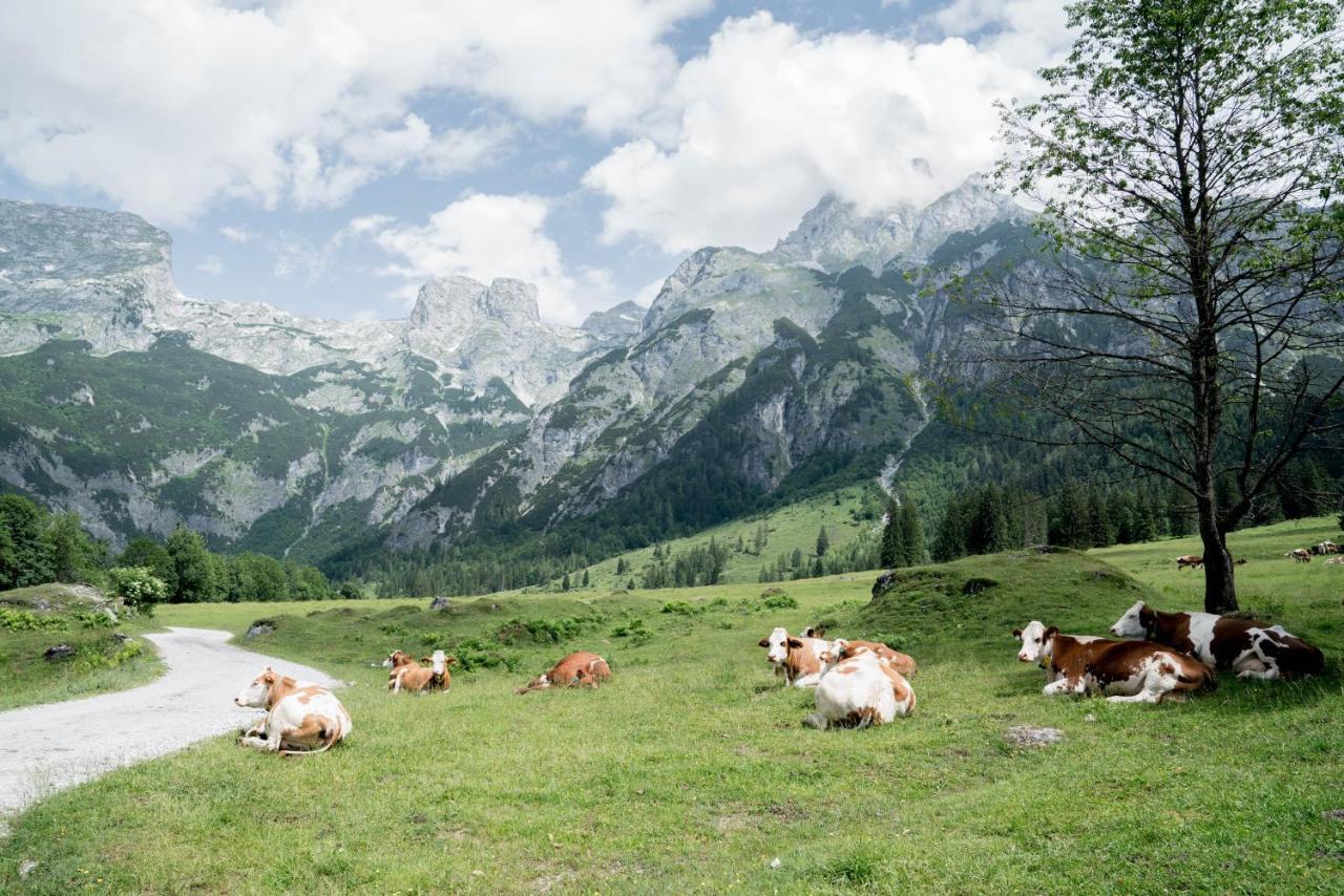 Hotel Bio Bauernhof Vorderoberlehen Werfenweng Esterno foto