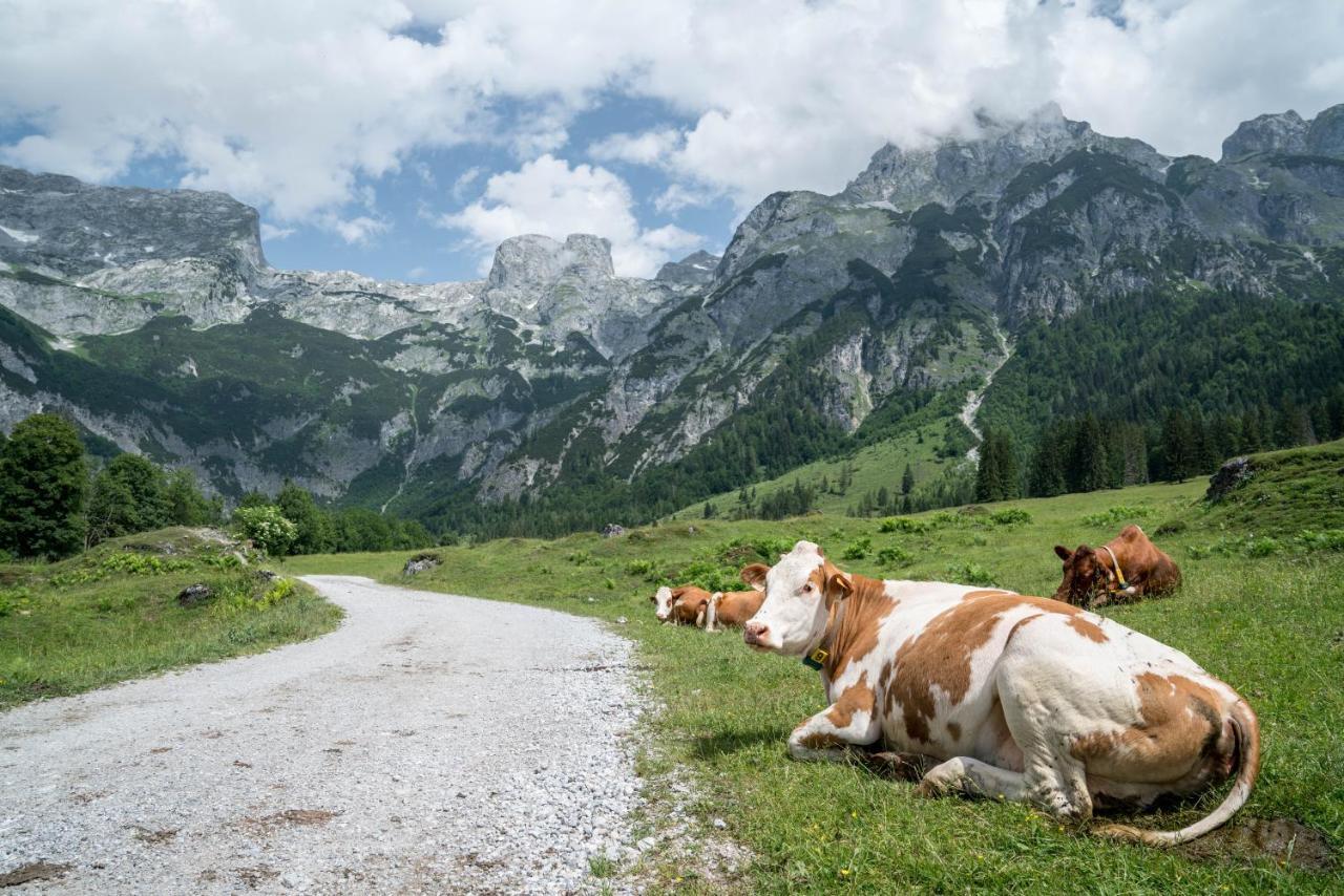 Hotel Bio Bauernhof Vorderoberlehen Werfenweng Esterno foto